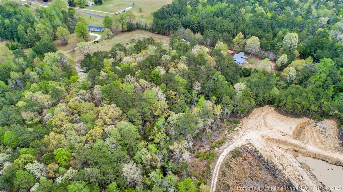 6823 Fox Run Road Linden, NC 28356 - Photo 10 of 17 Gallery Image 10