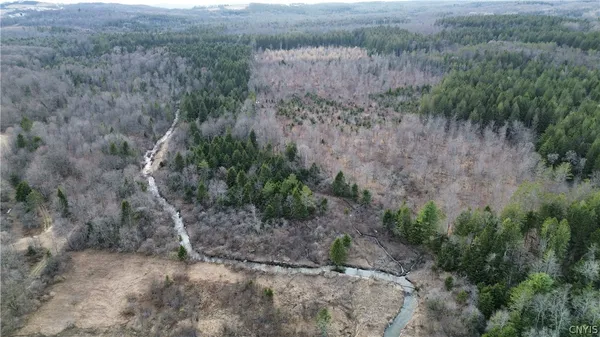 $59,900 | Lot 6 Burrell Road, Little Falls, NY 13365