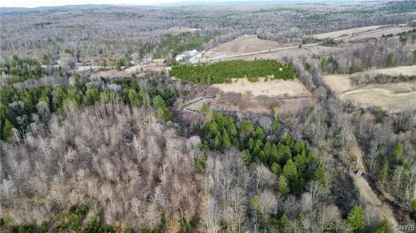 $59,900 | Lot 6 Burrell Road, Little Falls, NY 13365