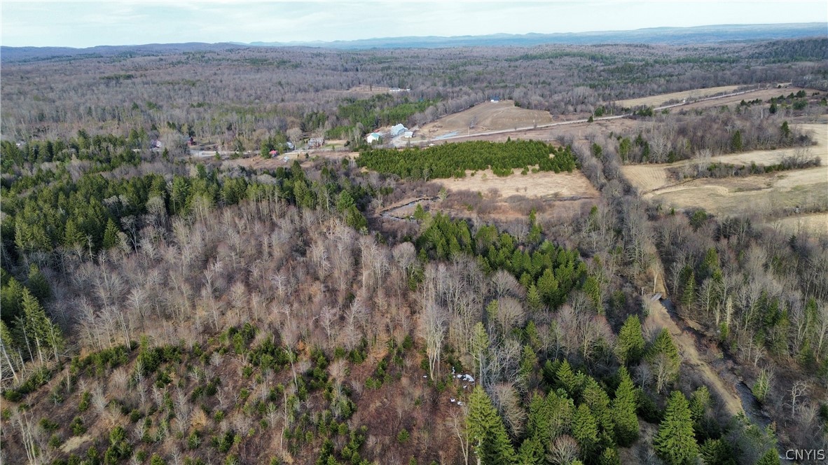 Lot 6 Burrell Road Little Falls, NY 13365 - Photo 4 of 6