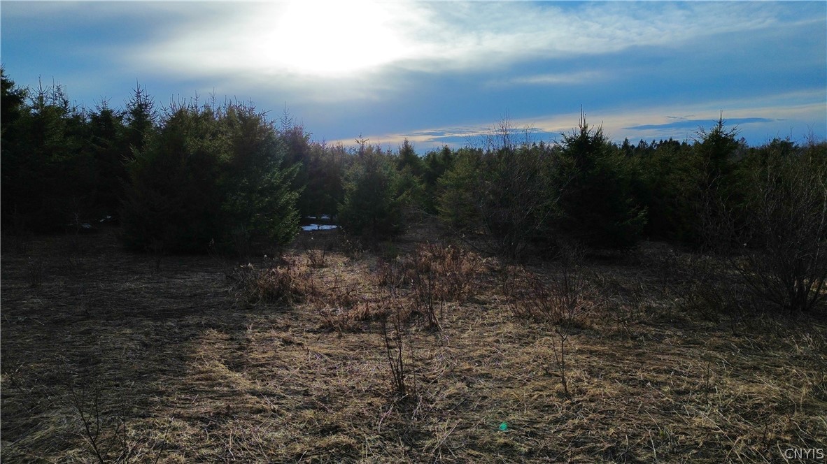 Lot 6 Burrell Road Little Falls, NY 13365 - Photo 5 of 6