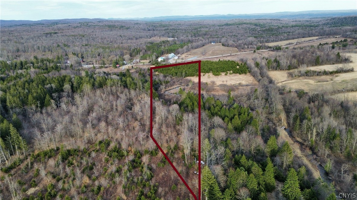 Lot 6 Burrell Road Little Falls, NY 13365 - Photo 6 of 6