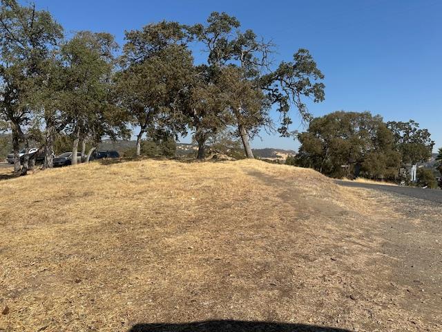 4227 Council Trail Copperopolis, CA 95228 - Photo 2 of 2