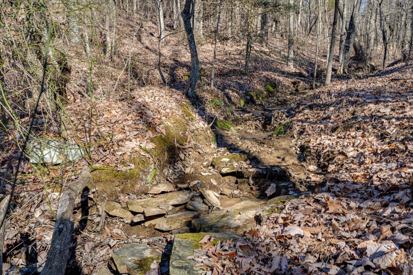805 Dukes Road Signal Mountain, TN 37377 - Photo 21 of 33 Gallery Image 21