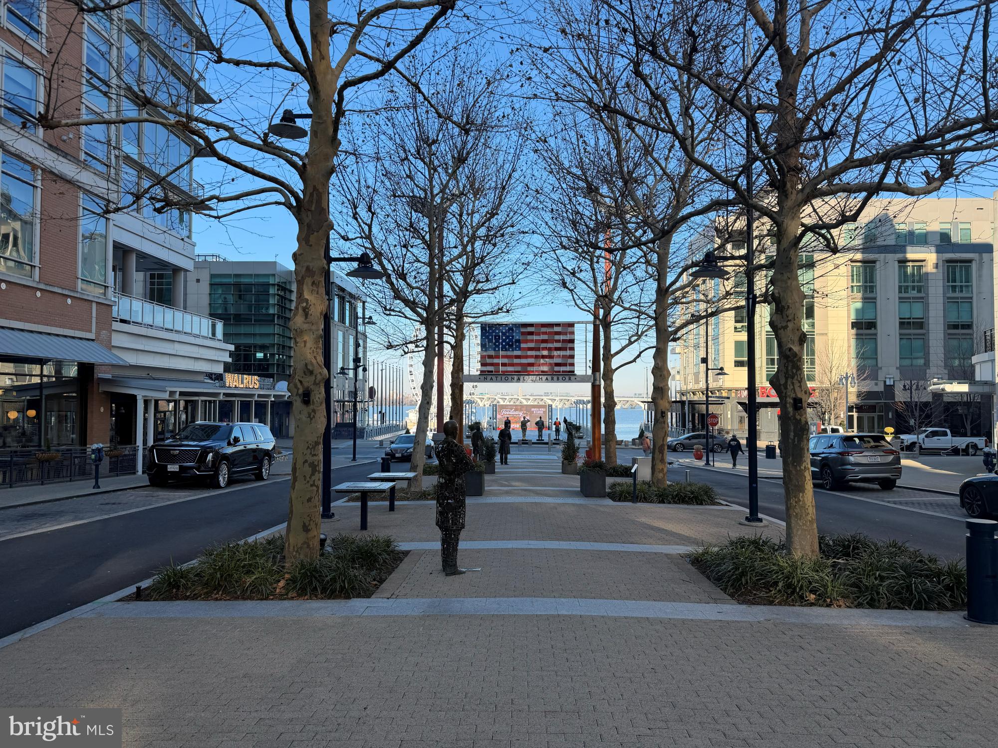 500 Riversail Lane, Unit 438 Oxon Hill, MD 20745 - Photo 50 of 52