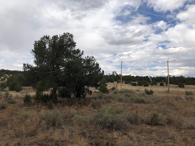 394 Candy Kitchen Road Ramah, NM 87357 - Photo 19 of 29