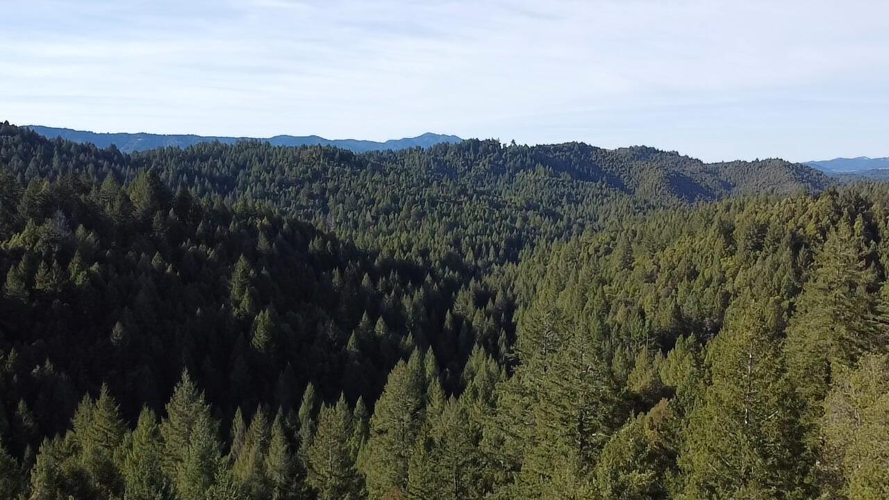 2126 China Creek Road Garberville, CA 95542 - Photo 34 of 40