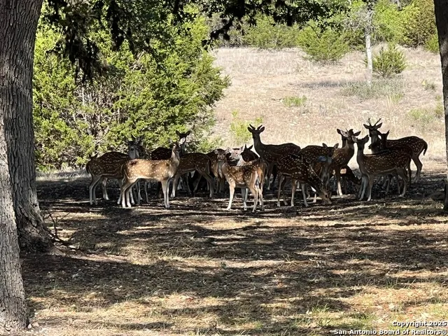 a view of a town with pathway