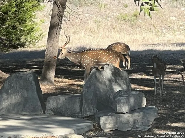 a view of a wooden door