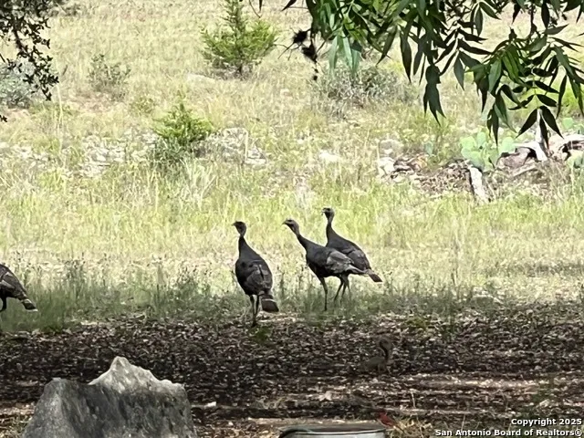 a view of outdoor space with seating area