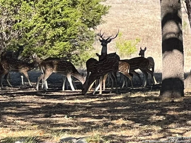 a view of a house with car parked
