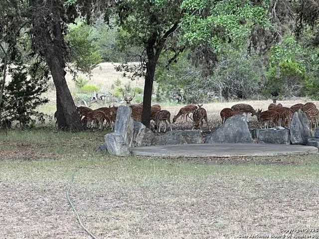 a view of a house with a garden
