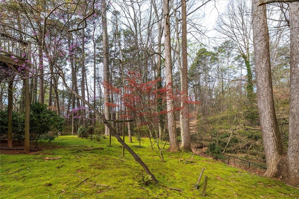 2010 Carrington Court Smoke Rise, GA 30087 - Photo 47 of 56 a view of a yard with a tree