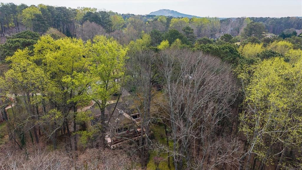 2010 Carrington Court Smoke Rise, GA 30087 - Photo 50 of 56 a view of a lush green forest with trees and some houses