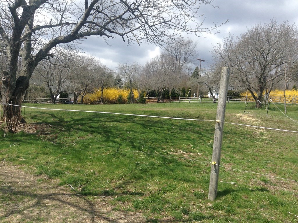 10 Sleepy Hollow Road Topsfield, MA 01983 - Photo 24 of 29