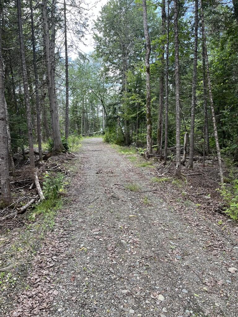 Lot 40 Woodland Ridge Road Danforth, ME 04424 - Photo 22 of 22 FE3F808C-51F1-4EAF-8957-DAB2FA2AFDF4_1_1