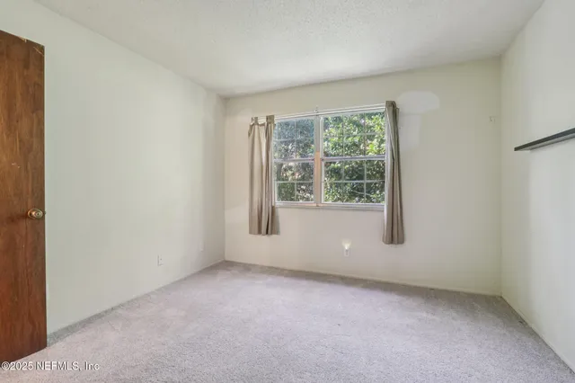 a view of a backyard and a plant