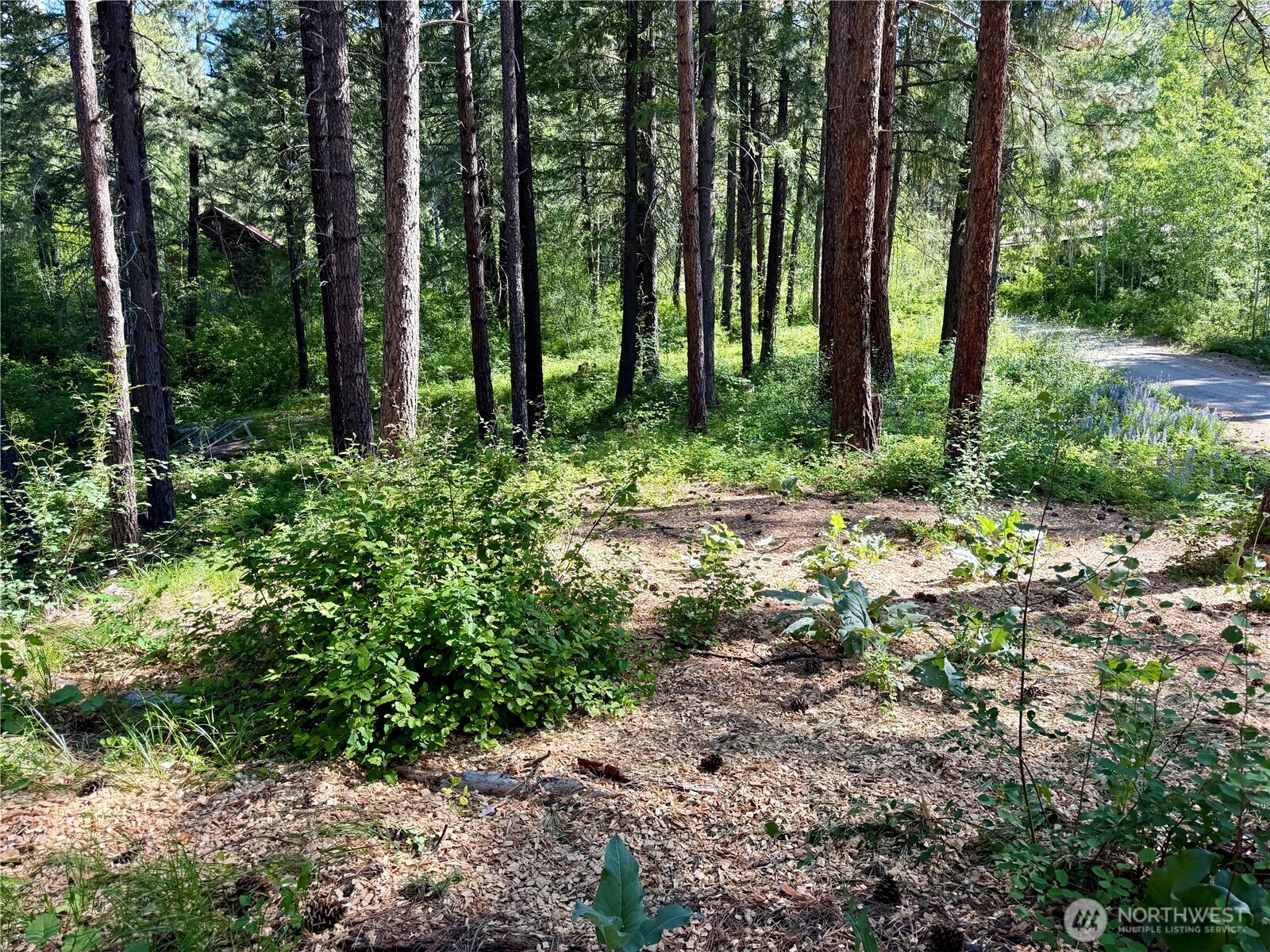 11 Highland Mdw Road Winthrop, WA 98862 - Photo 22 of 25 a view of backyard with green space