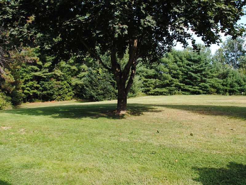 20 Card Mill Road North Berwick, ME 03906 - Photo 19 of 30 Back Yard. Plenty of room with 10+ acres