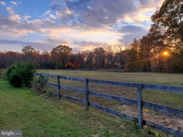 a view of grassy field with trees