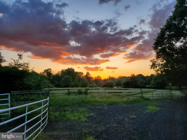 a view of a large trees