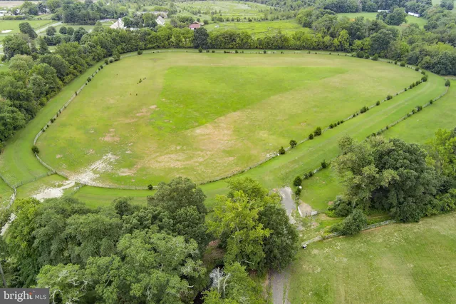a view of an ocean from a yard