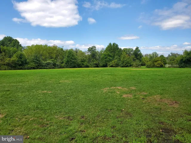 a view of a field with a big yard