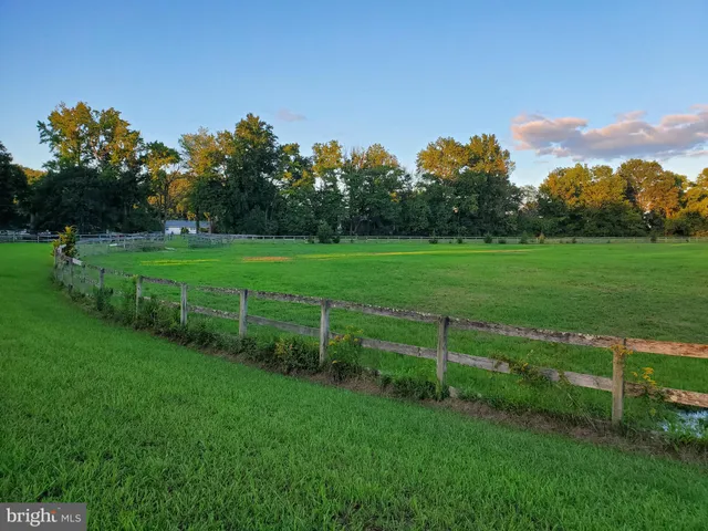 a view of a field of grass and trees