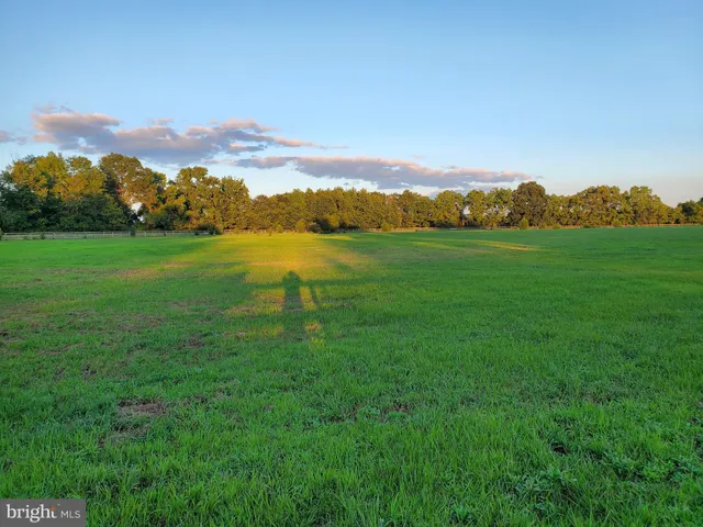 a view of lake with green space