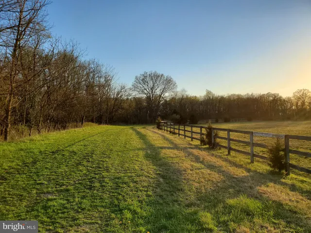 a view of park with a bench