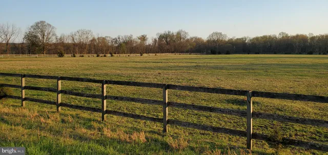 a view of park with bench