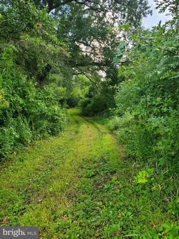 a view of a lake with a yard