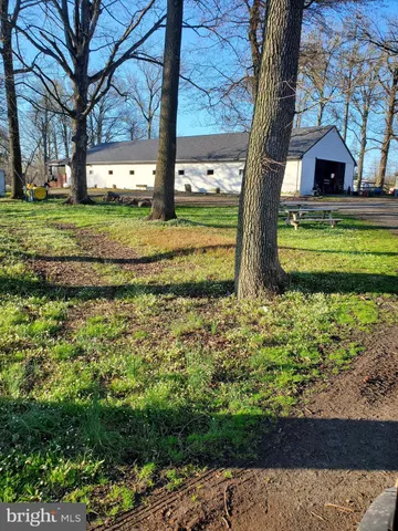 a view of a garden with an outdoor space