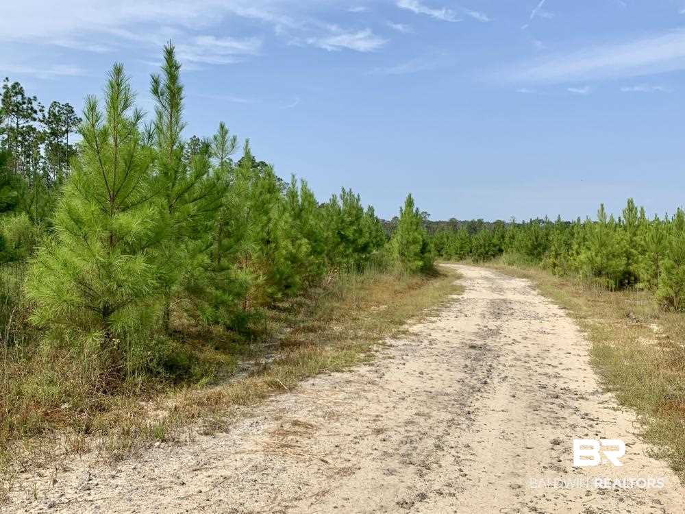 0 Country Road Mobile, AL 36608 - Photo 18 of 27