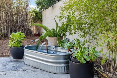 a view of a flower in a garden