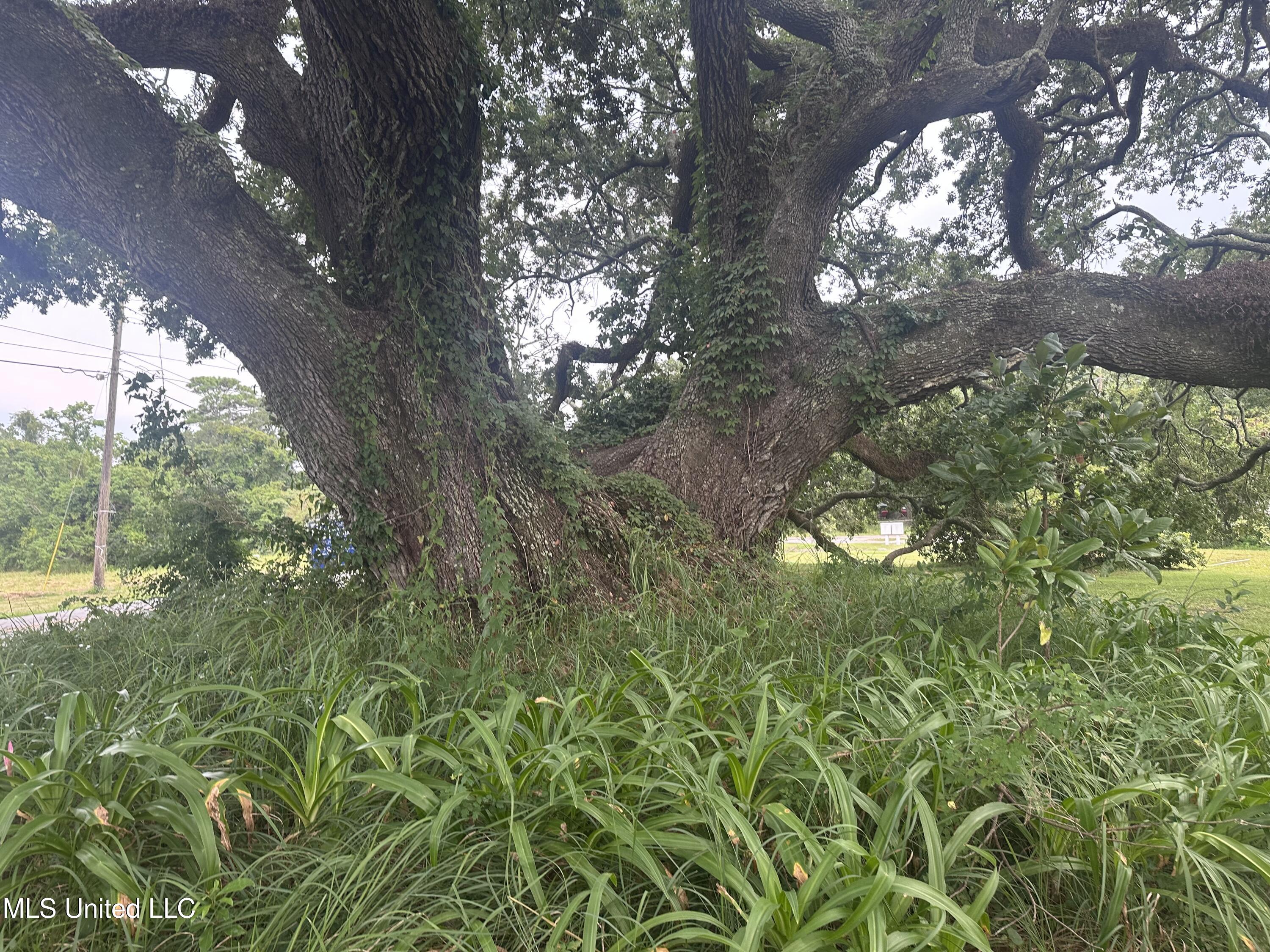 4803 Orchard Road Pascagoula, MS 39581 - Photo 14 of 15 IMG_5168