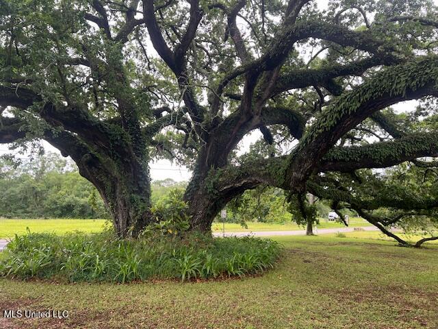 4803 Orchard Road Pascagoula, MS 39581 - Photo 15 of 15 IMG_8431