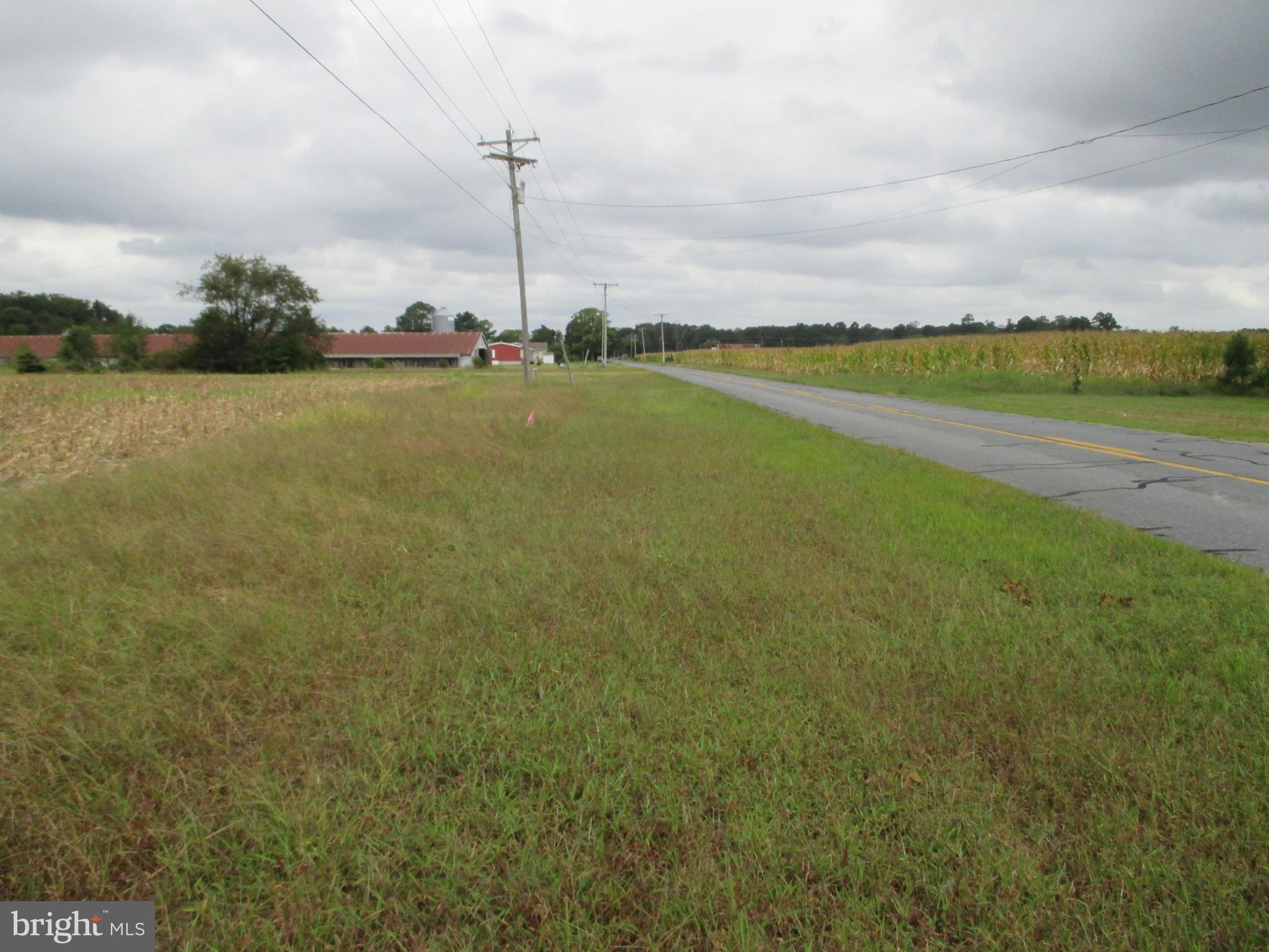 Lot 6 Gray Road Dagsboro, DE 19939 - Photo 5 of 6