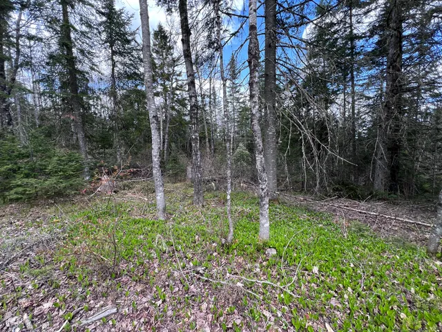 $49,900 | Map Lot 10 East Map Lane, Merrill, ME 04780