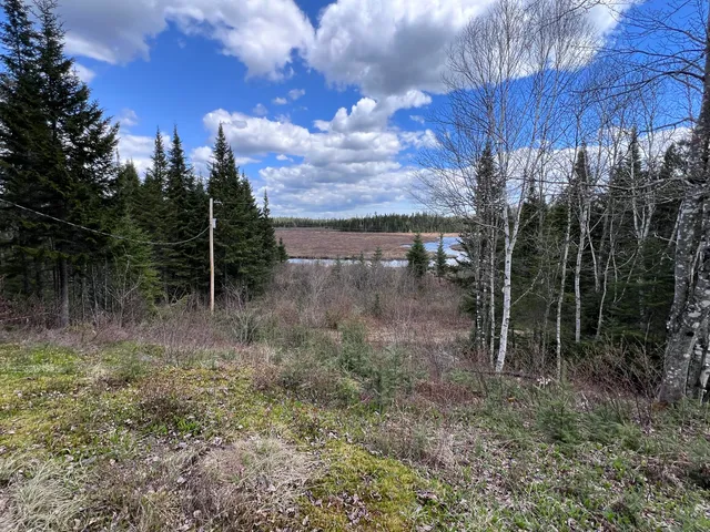 $49,900 | Map Lot 10 East Map Lane, Merrill, ME 04780