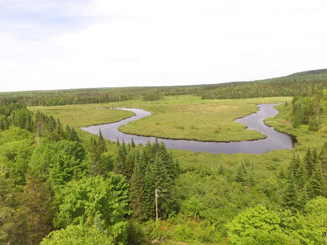 $49,900 | Map Lot 10 East Map Lane, Merrill, ME 04780
