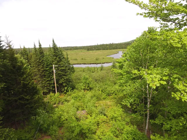 $49,900 | Map Lot 10 East Map Lane, Merrill, ME 04780
