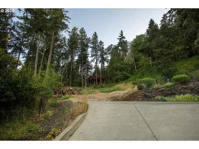 a view of outdoor space and yard