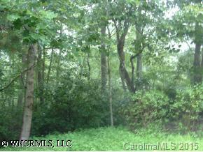 78 Rock Spring Road, Unit 78 Lake Lure, NC 28746 - Photo 1 of 2 Gallery Image 1