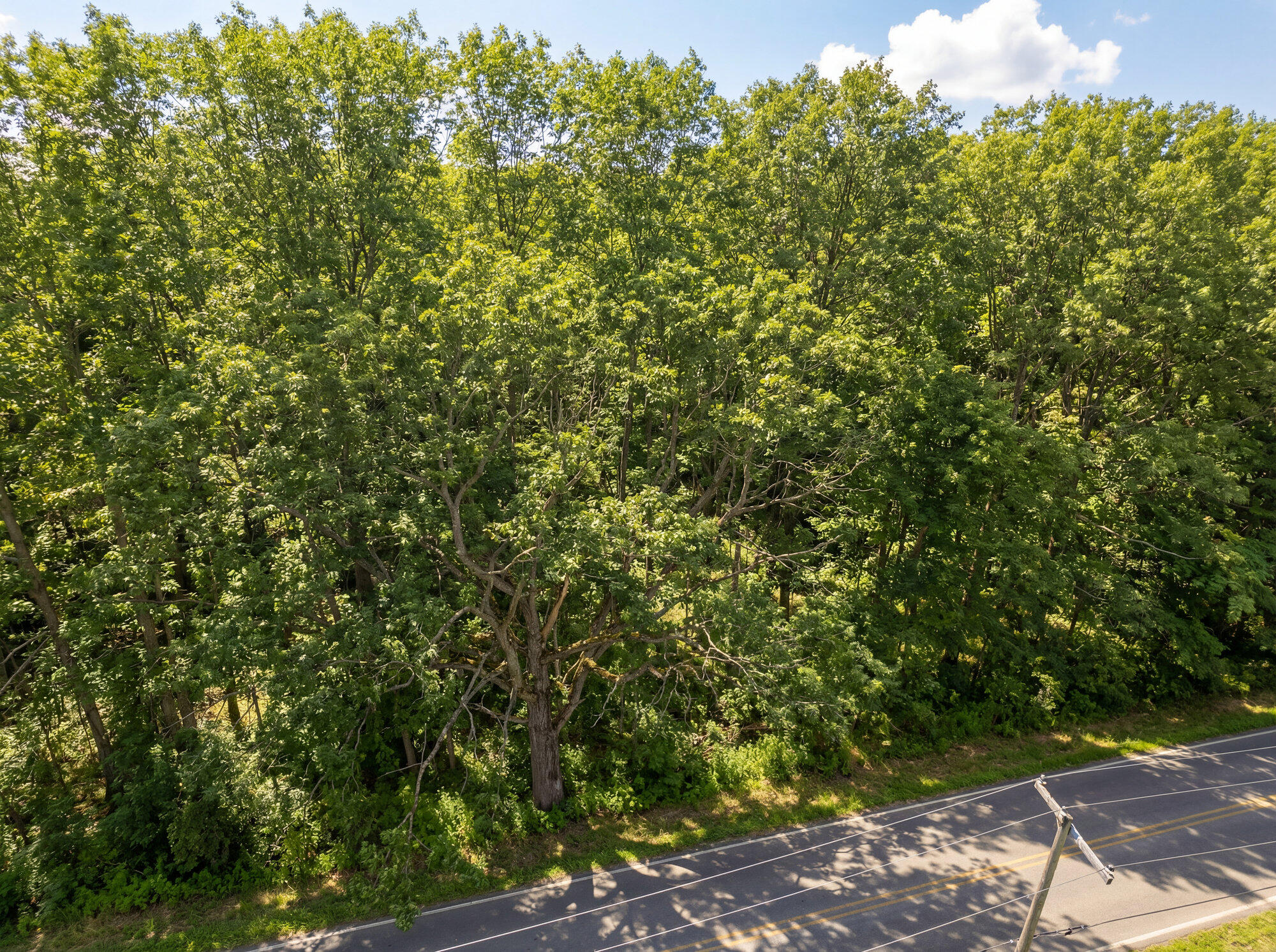 2512 Clinton Way Jackson, MI 49201 - Photo 5 of 26 Rolling Oaks Community