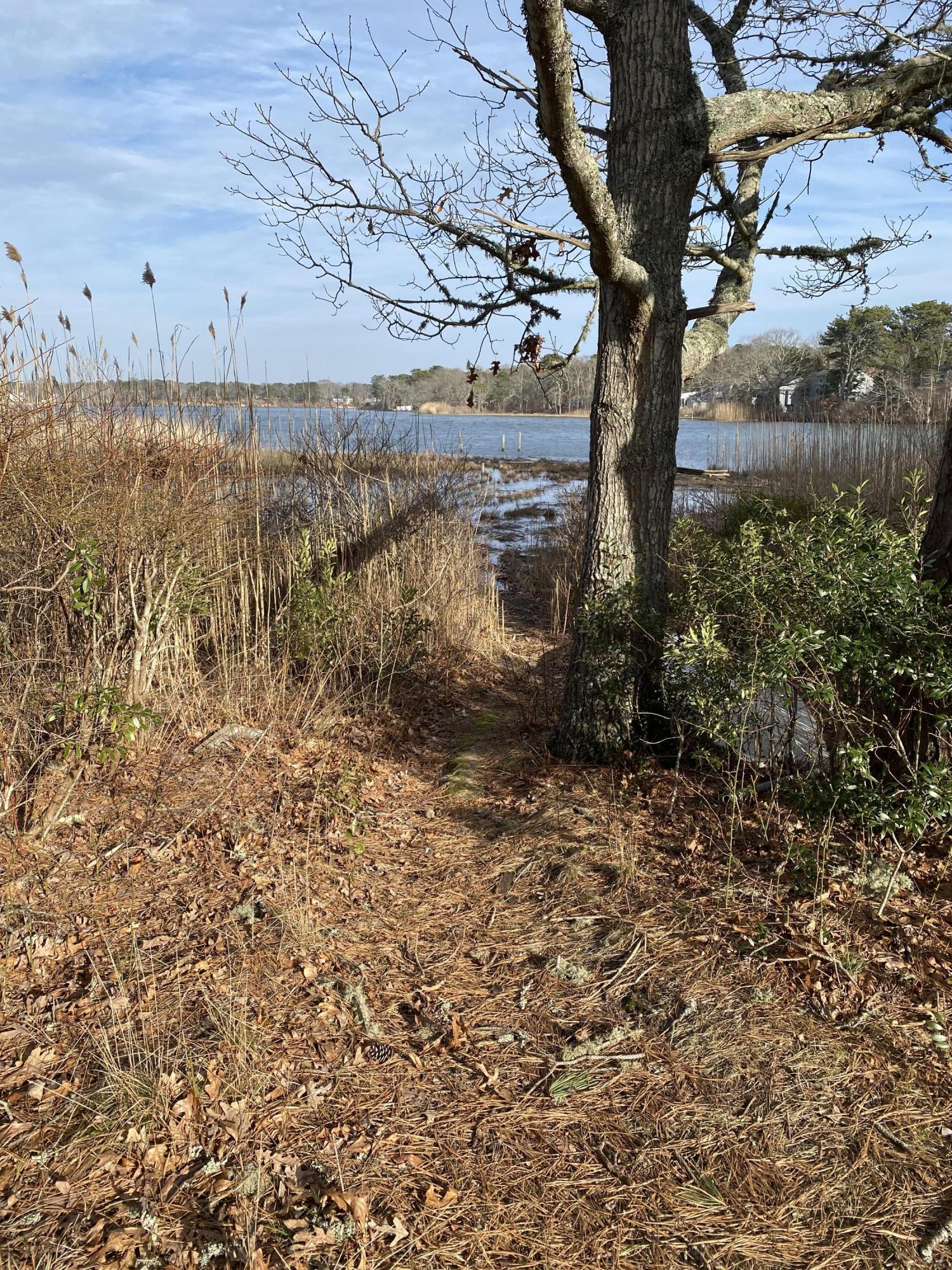 58 Aunt Debbys Road Dennis Port, MA 02639 - Photo 38 of 38 a view of a backyard of the house