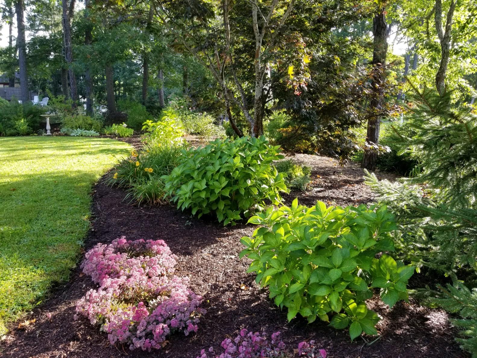 58 Aunt Debbys Road Dennis Port, MA 02639 - Photo 7 of 38 a view of a garden with plants