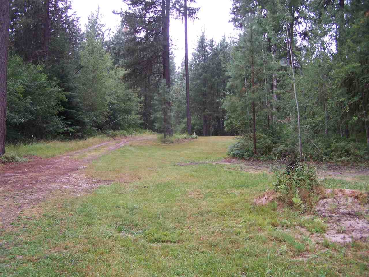 1092 North Davis Road Usk, WA 99180 - Photo 15 of 20 Gallery Image 15