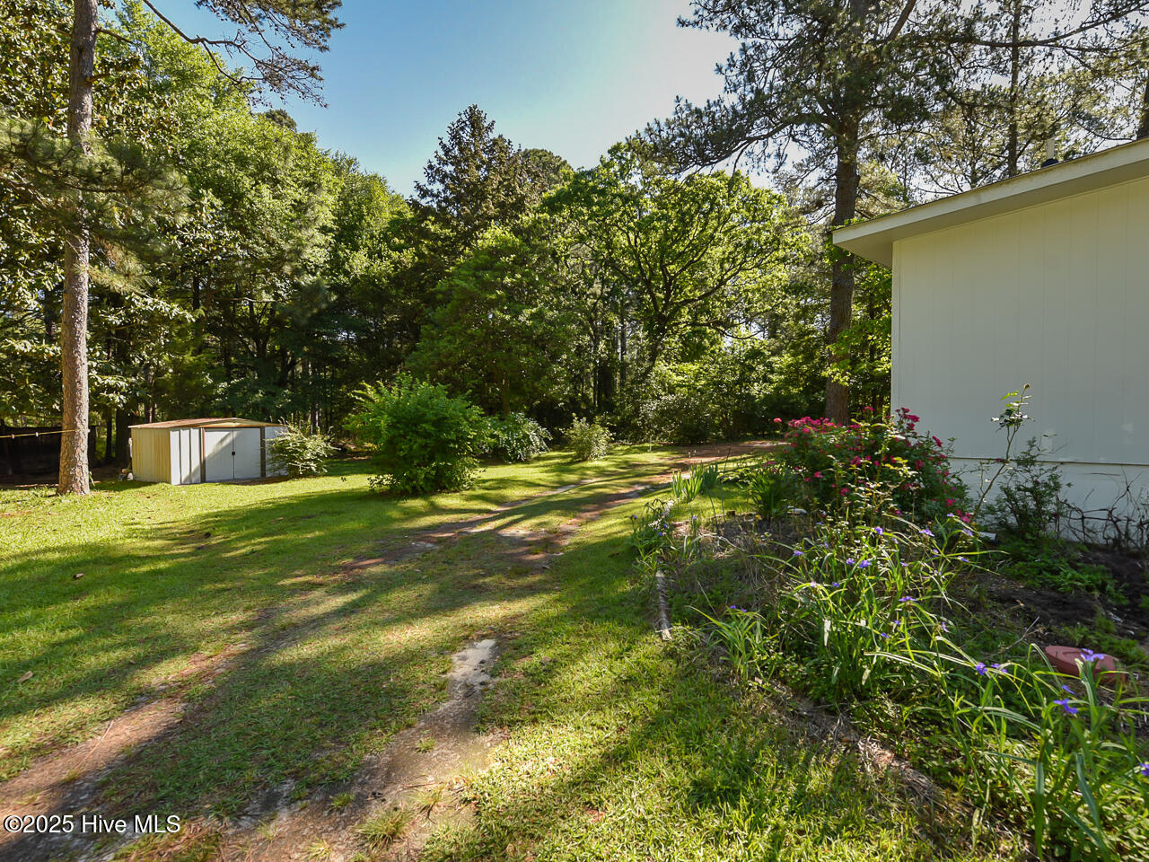224 Foxfire Road Aberdeen, NC 28315 - Photo 2 of 18 Exterior - side yard - OK