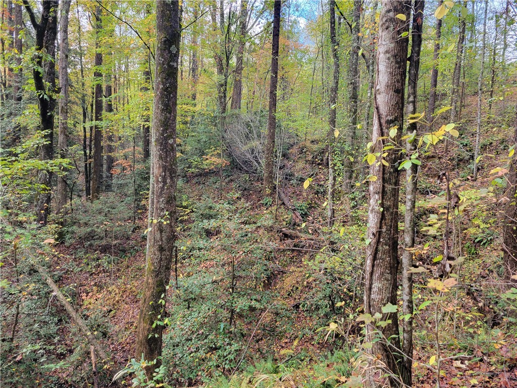 173 Ivester Road Long Creek, SC 29658 - Photo 11 of 16